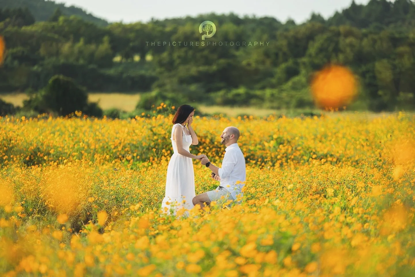 in Jeju Island, South Korea

 
📸 Shoot on Sep.
 
For your beautiful time in Jeju Island‼️
ThePictures Photography is taking a photo and video for wedding, family, couple, friends, proposal and etc in Jeju Island, South Korea.

📮For inquiries, pleas