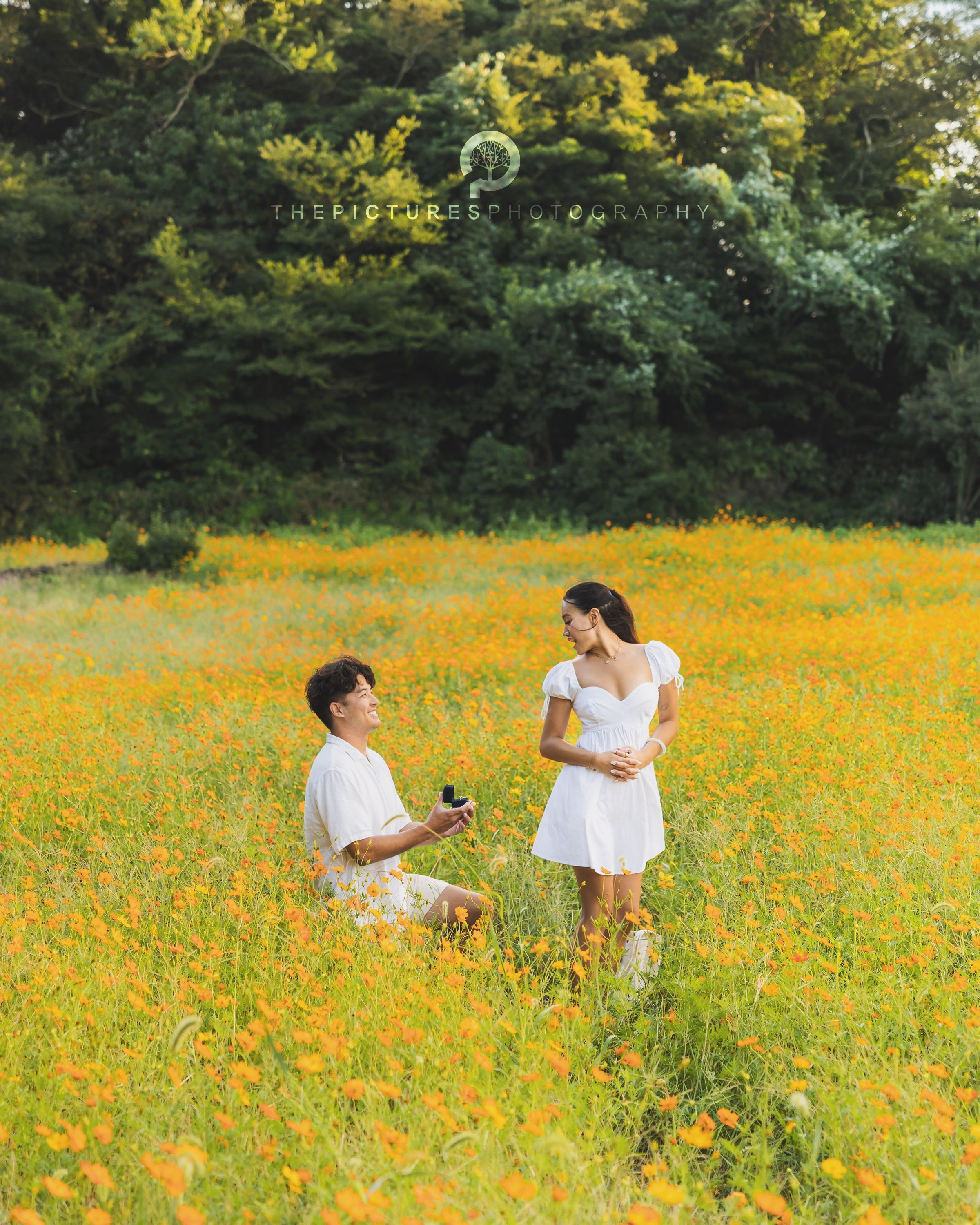 in Jeju Island, Korea

For your beautiful time in Jeju Island‼️

ThePictures Photography is taking a photo and video for wedding, family, couple, friends, proposal and etc in Jeju Island, Korea.

📍Shooting Area: West
📸 Shoot on Oct.

📮For inquirie