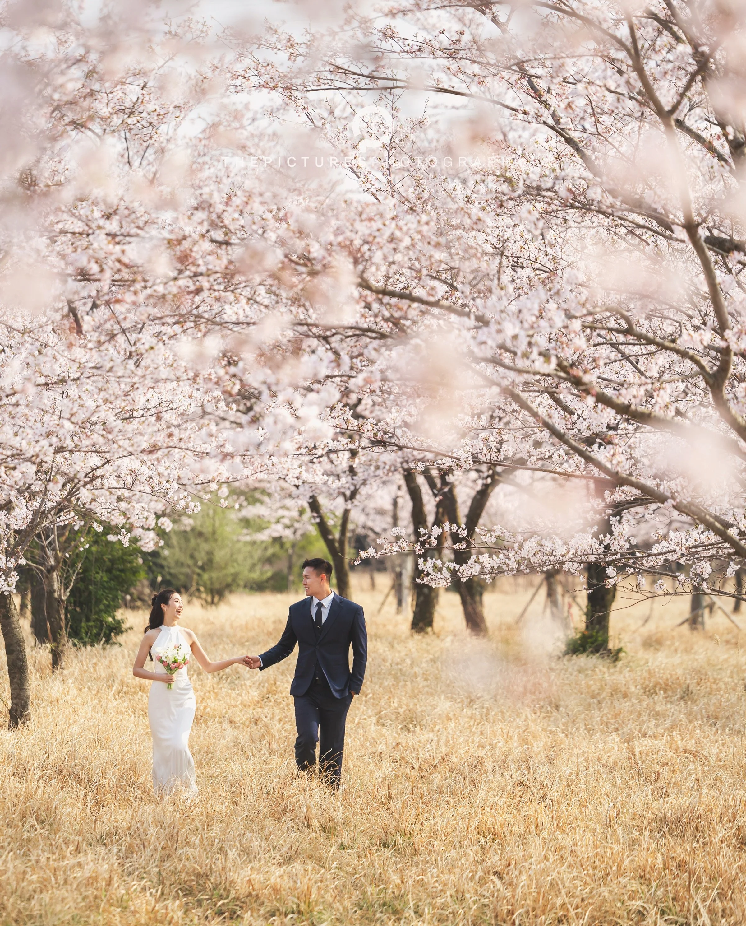 Thepictures Photography in Jeju Island

For your beautiful time in Jeju Island‼️

📍Shooting Area: East
📸 Shoot on April

ThePictures Photography is taking a photo and video for wedding, family, couple, friends, proposal in Jeju Island, South Korea.