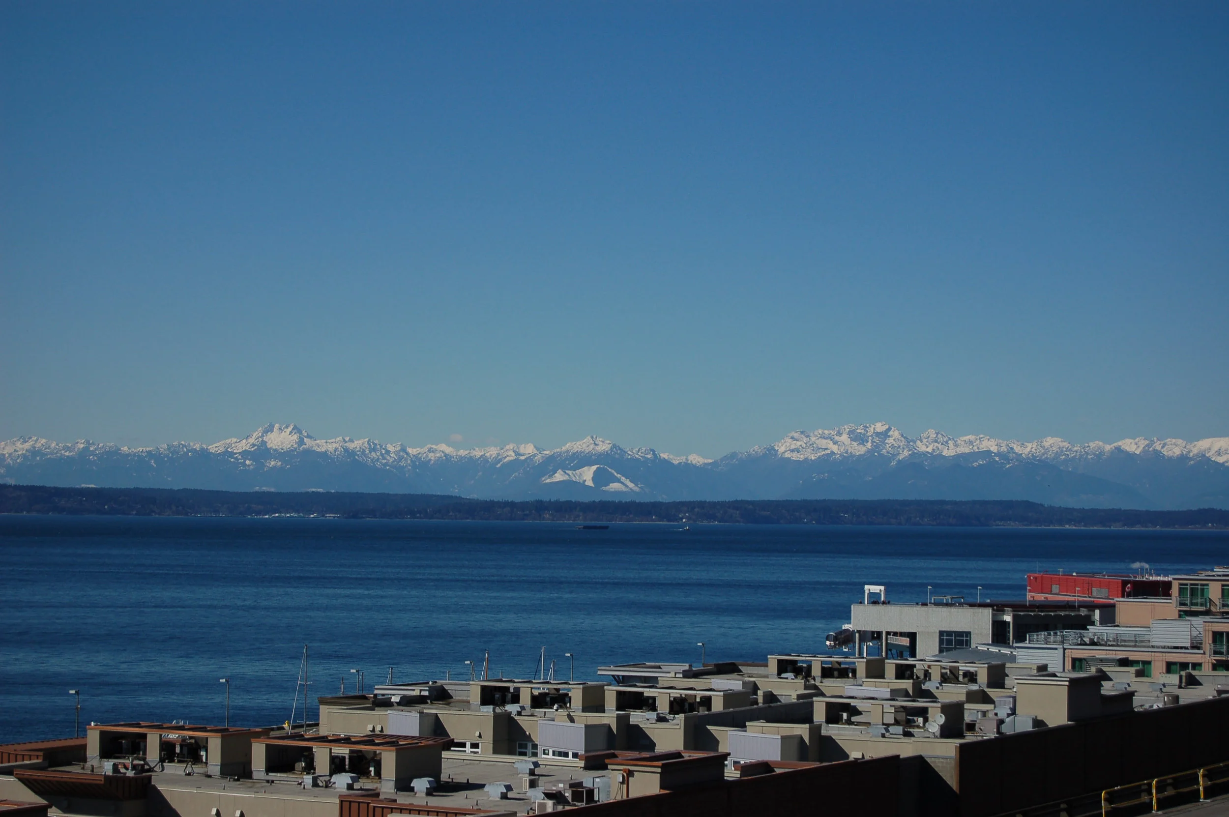 DSC_0074.jpg