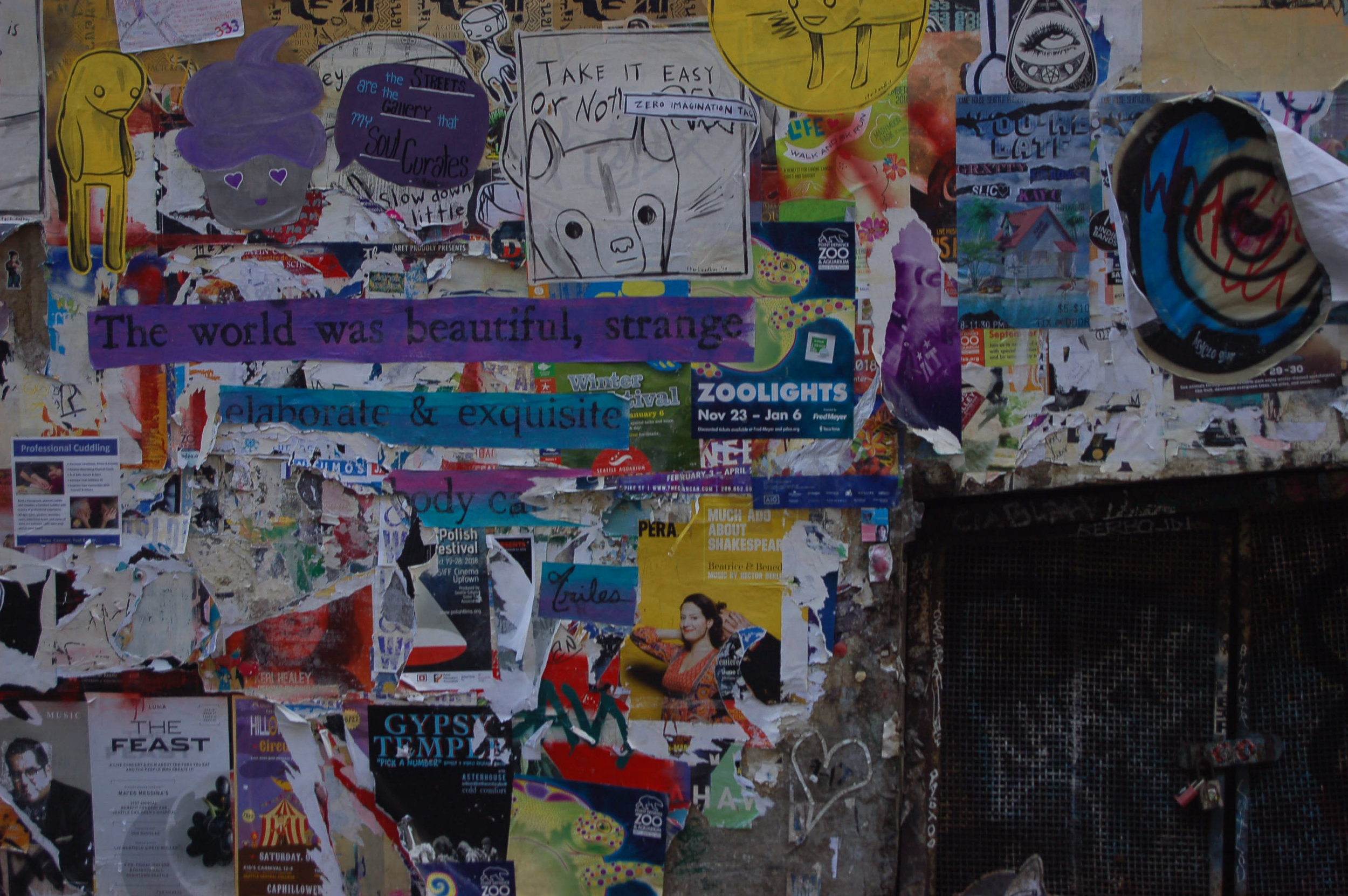 DSC_0094.jpg