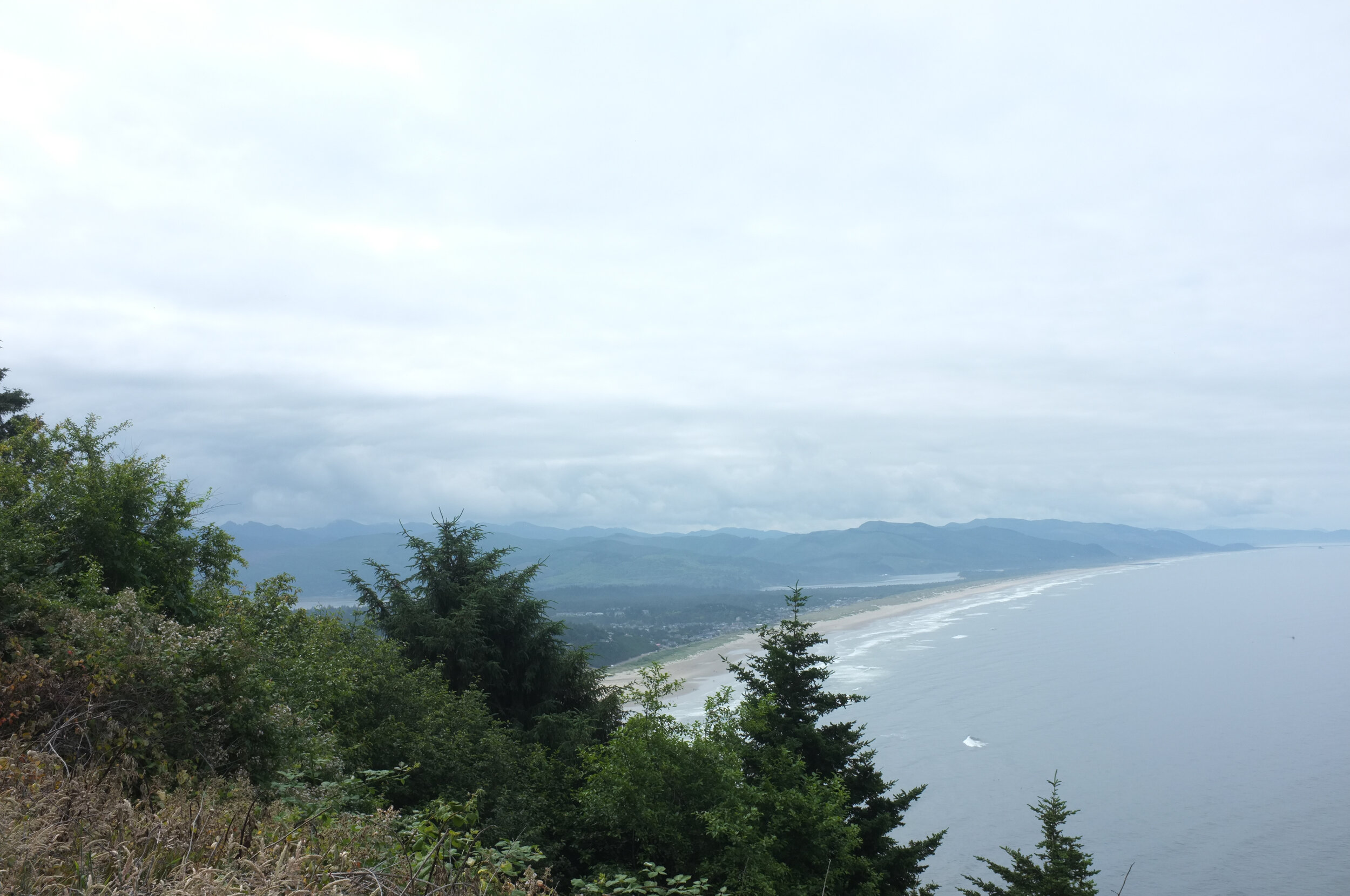 DSCF2215.jpg