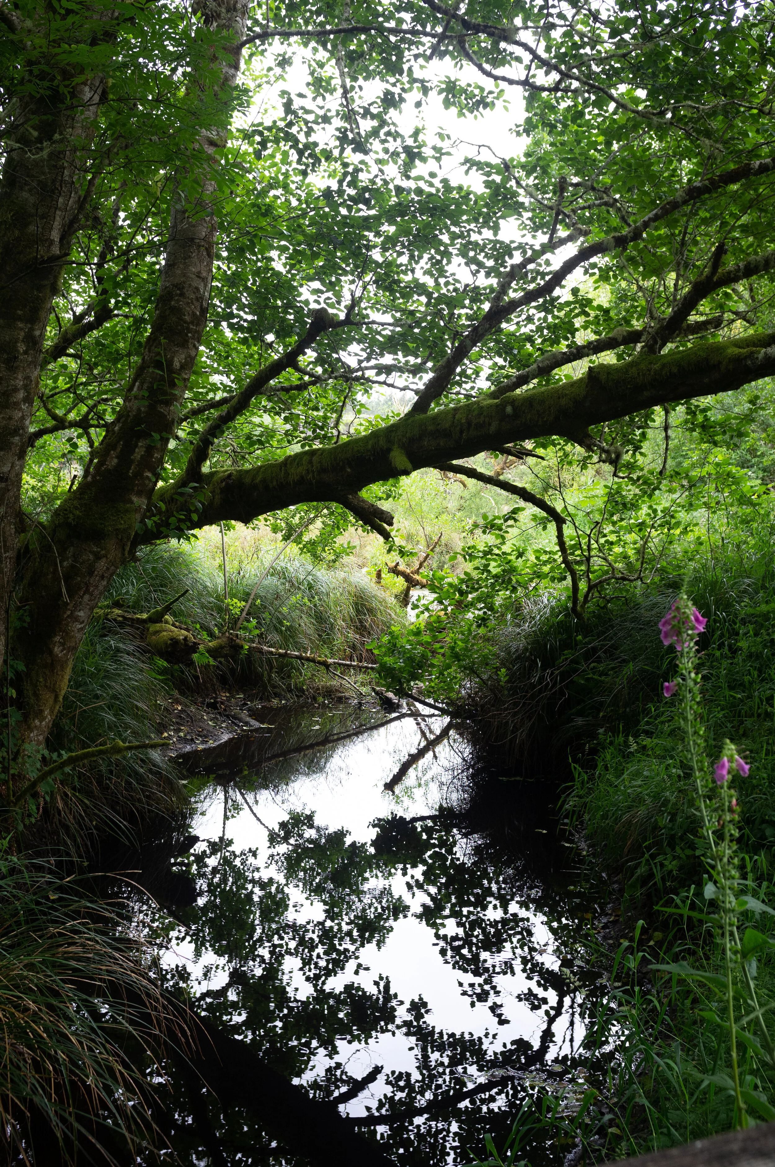 DSCF2051.jpg