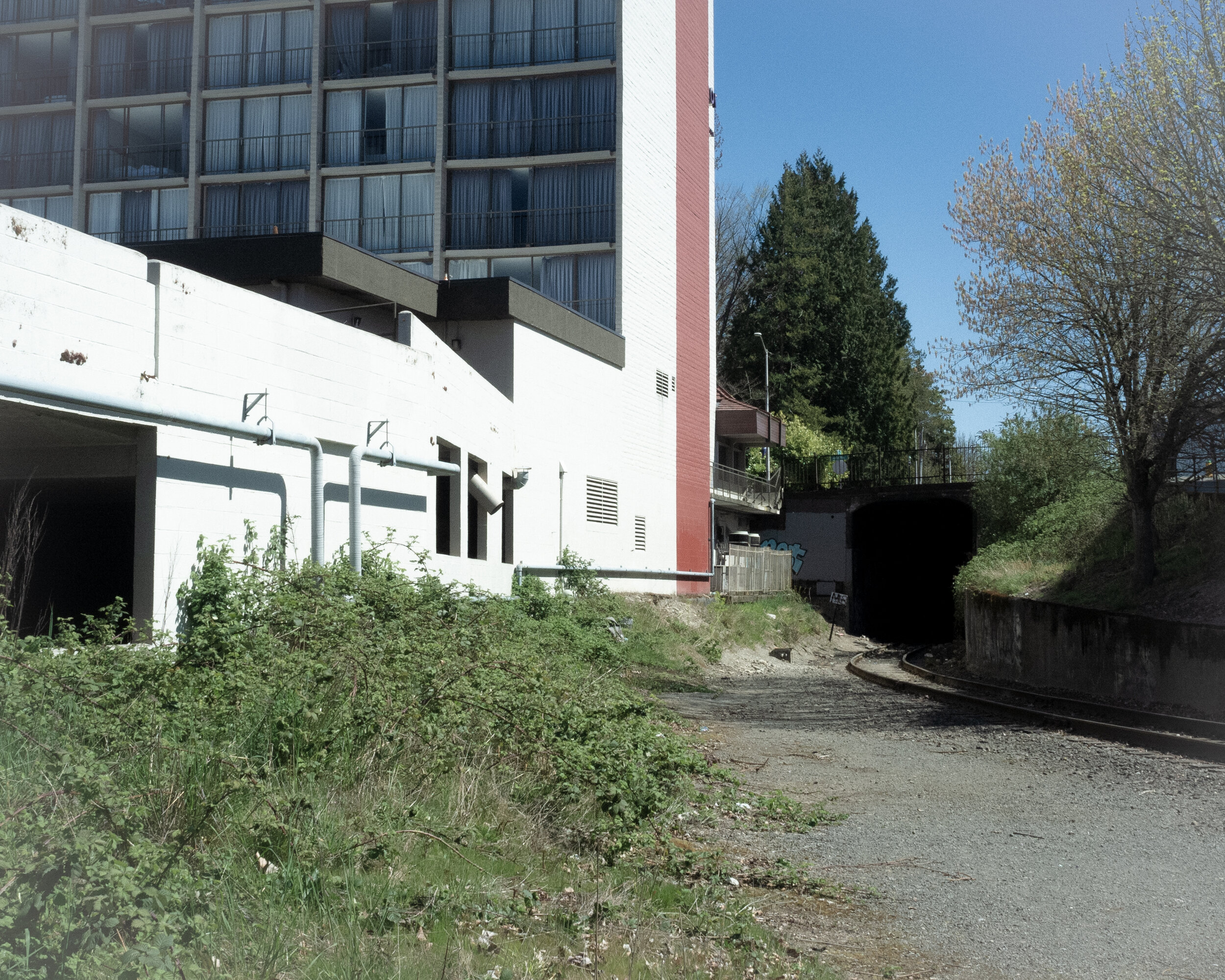 DSCF2445.jpg