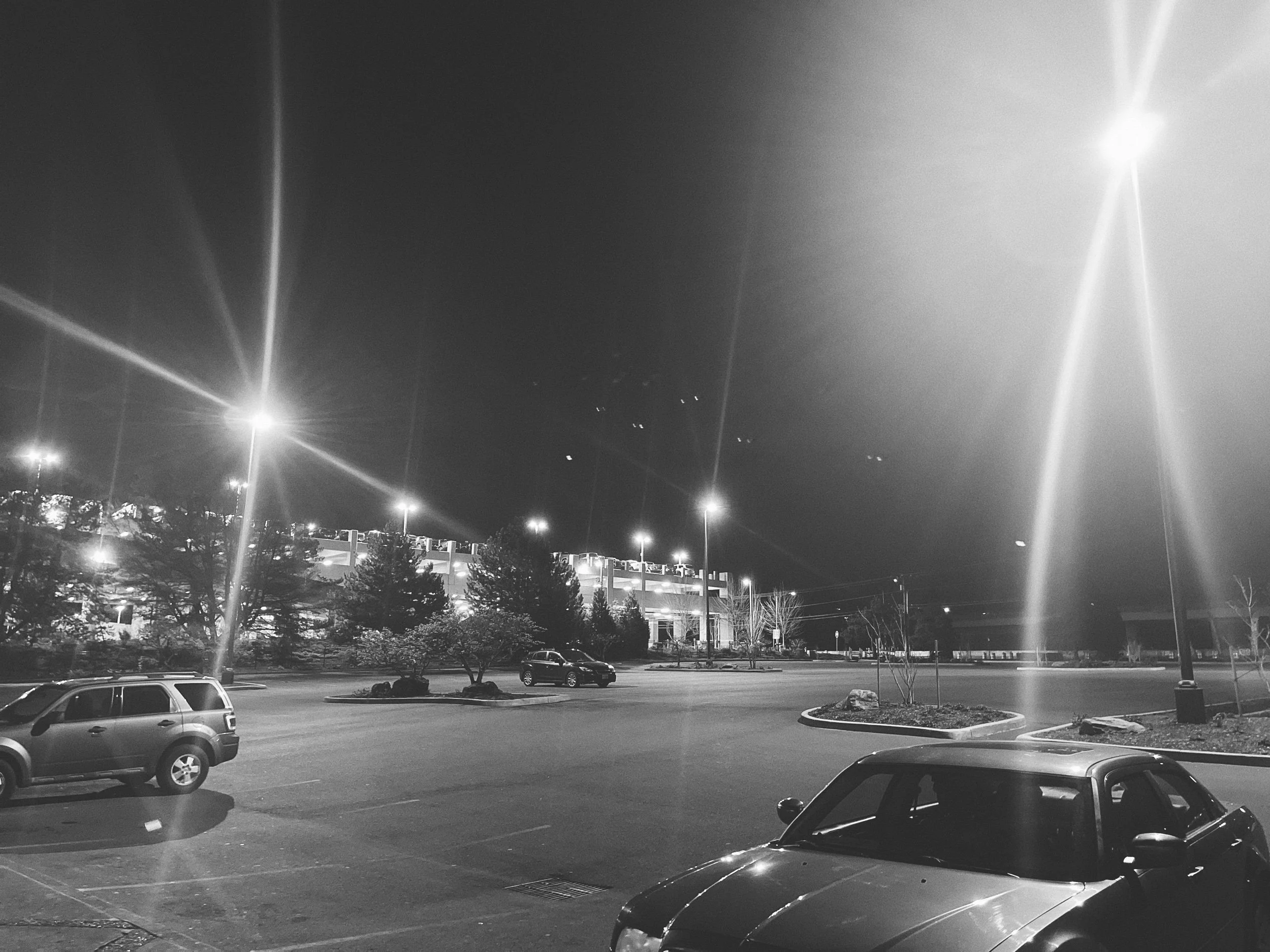 photo.jpeg