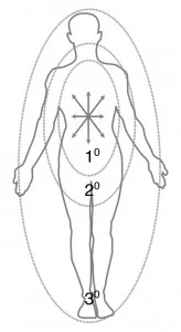 In Spiral Praxis the Bodymind is Conceived as Developmental Fractal Zones