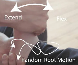 foot3-300x250.jpg