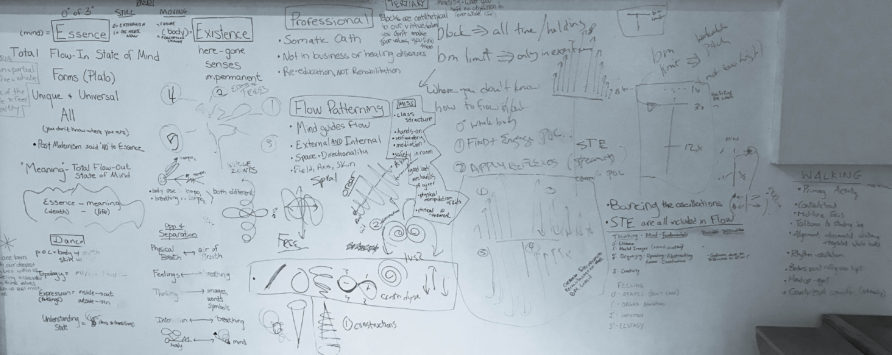Creating Our Bodymind Portal: Somatic Education For All