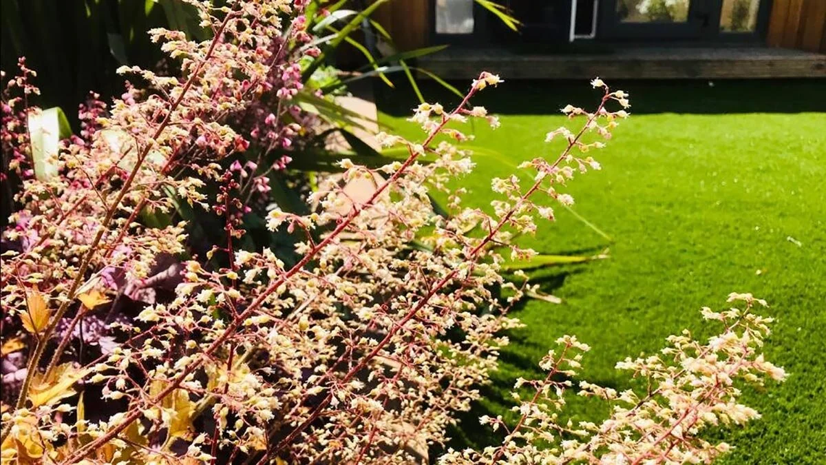 How to reduce your hay fever symptoms