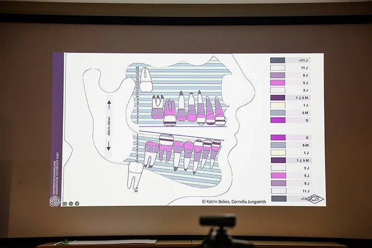 Dental Wellness Trust