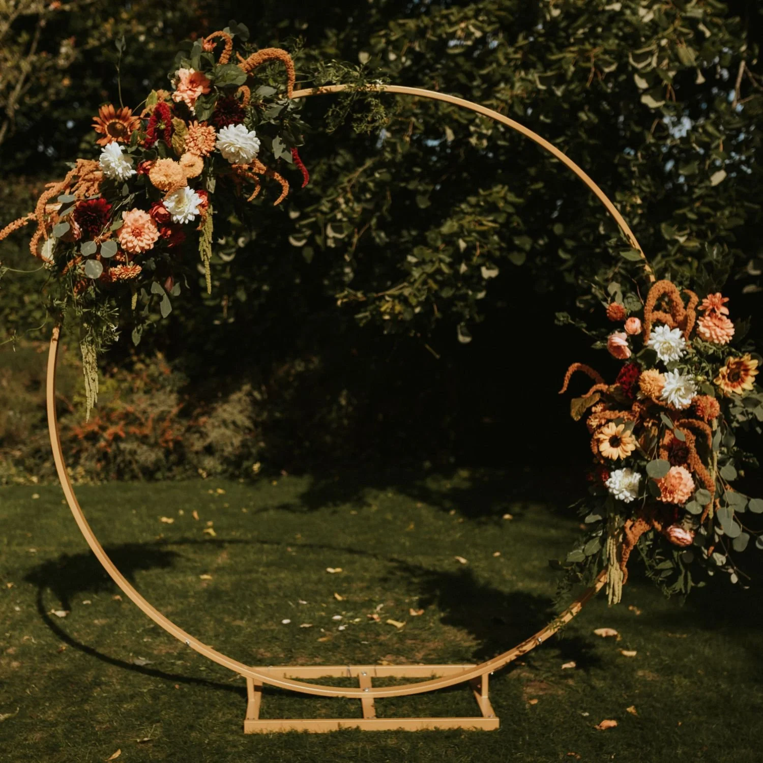 Moongate Hoop