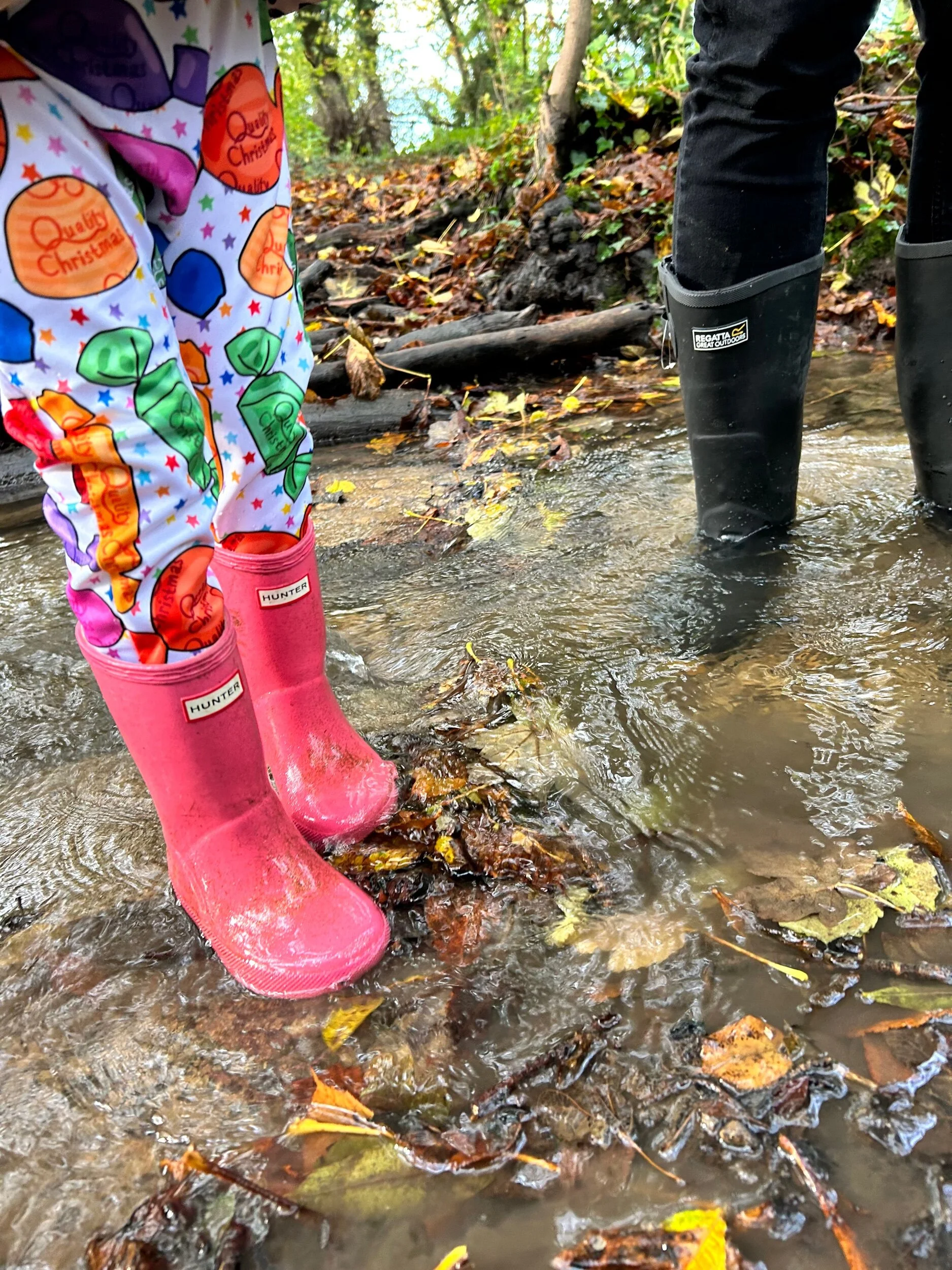 9170D76A-DCDB-4B38-9E50-32919F5918EB