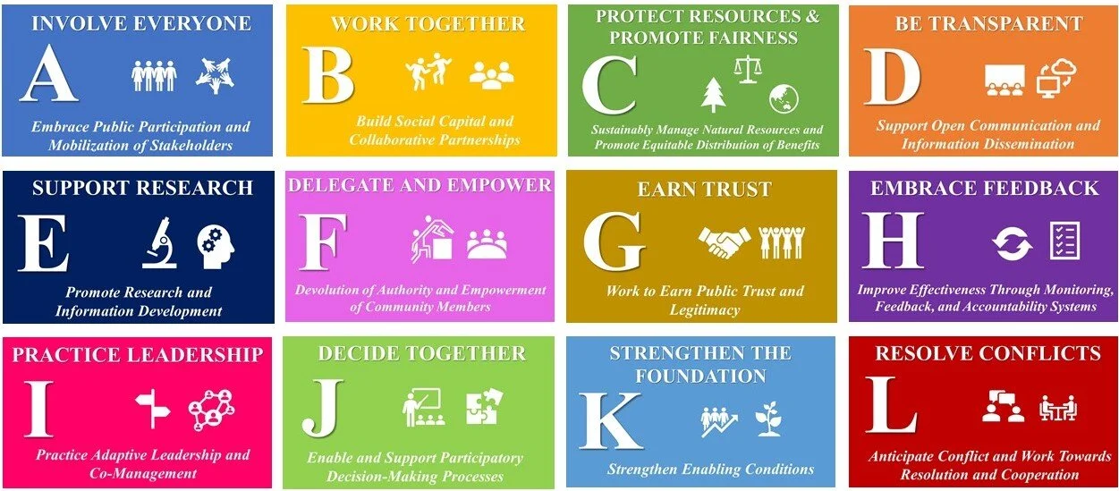 The Twelve Guiding Principles. (Credit_ Author’s Own Conception).jpg