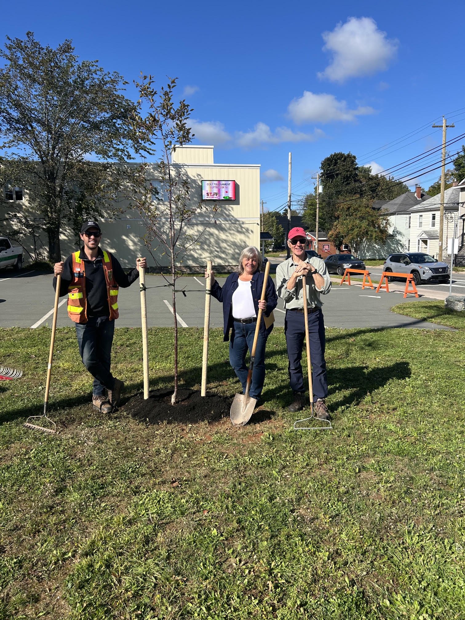 Tree Planting.jpg