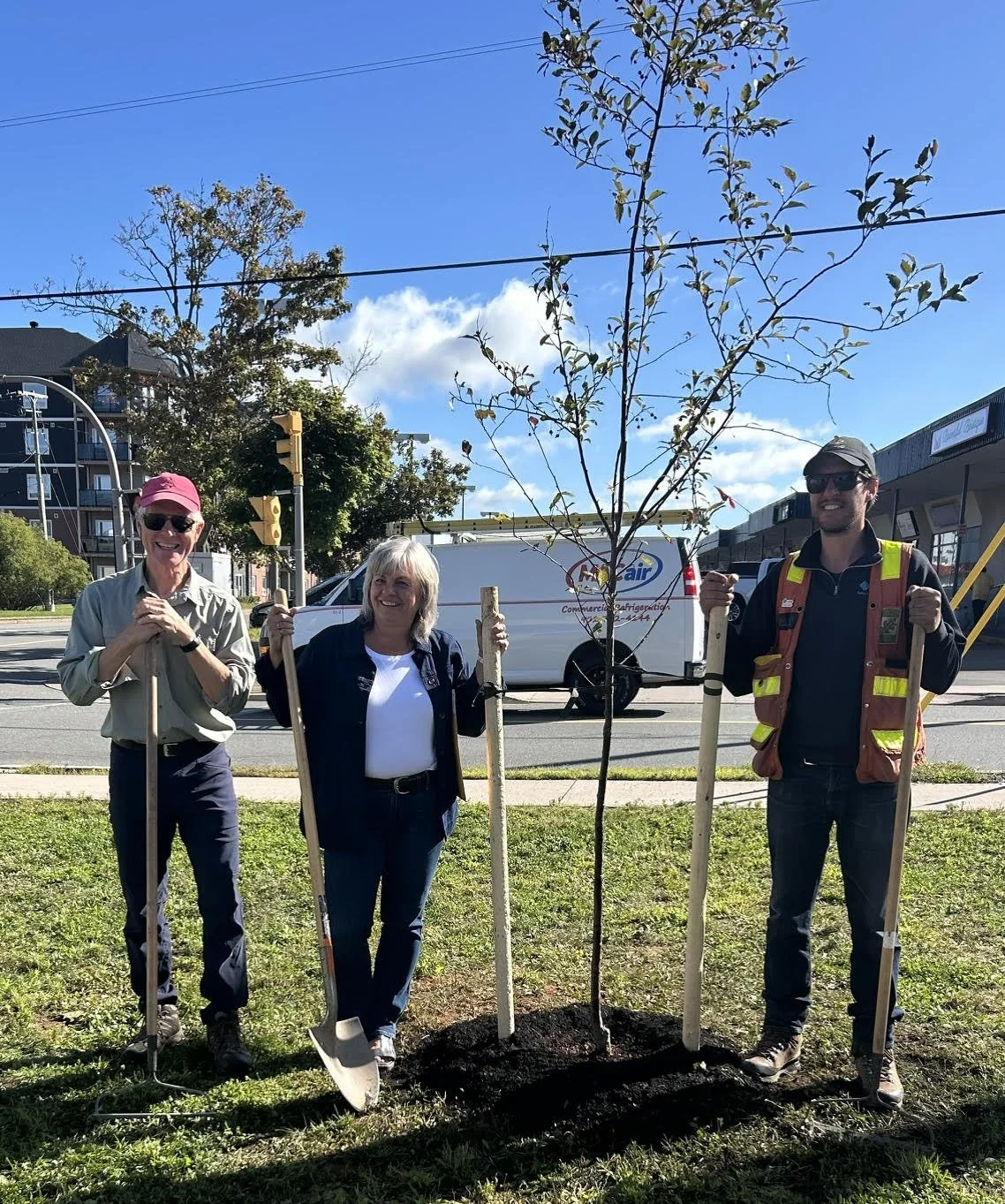 Tree Planting 2.jpg