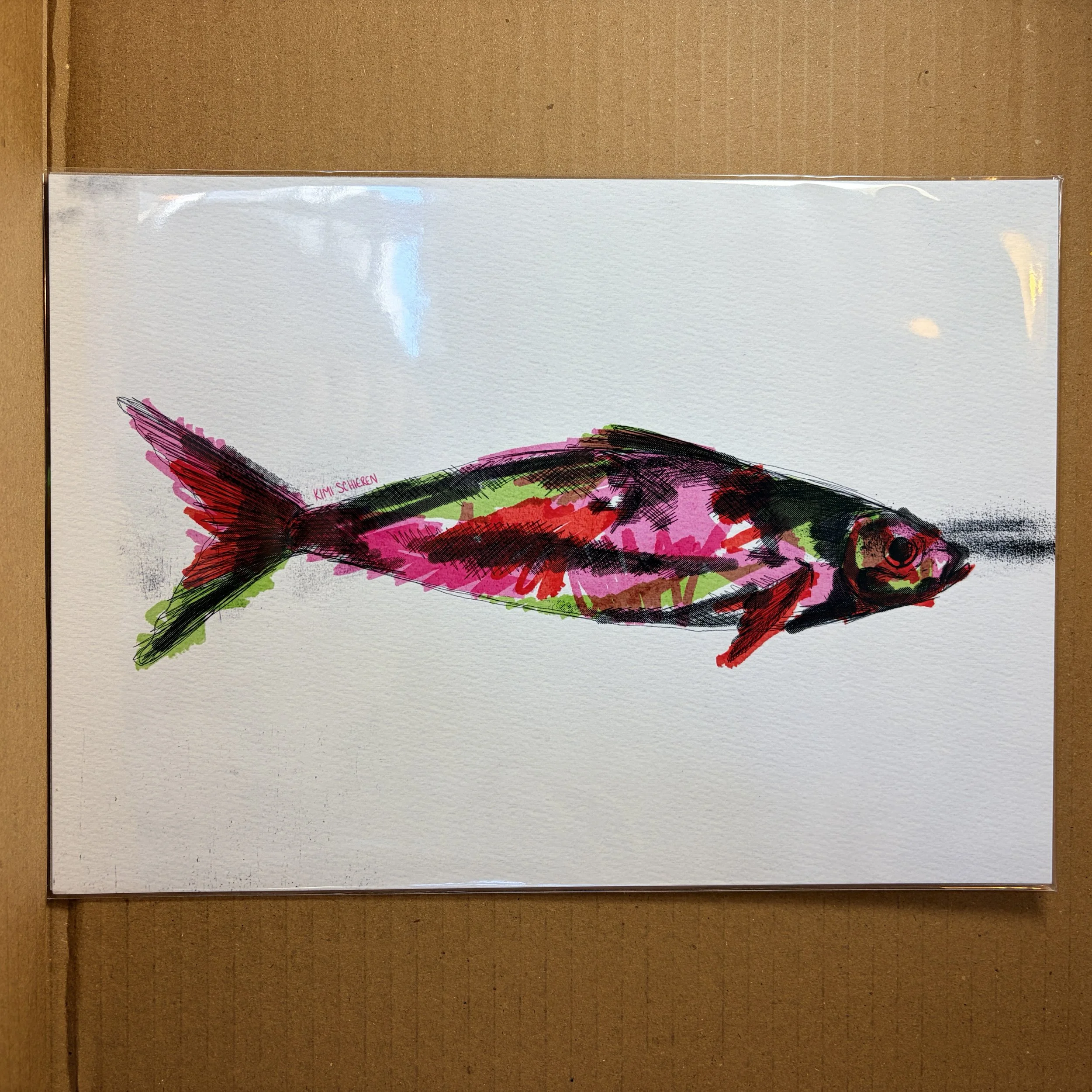 Scribble fish