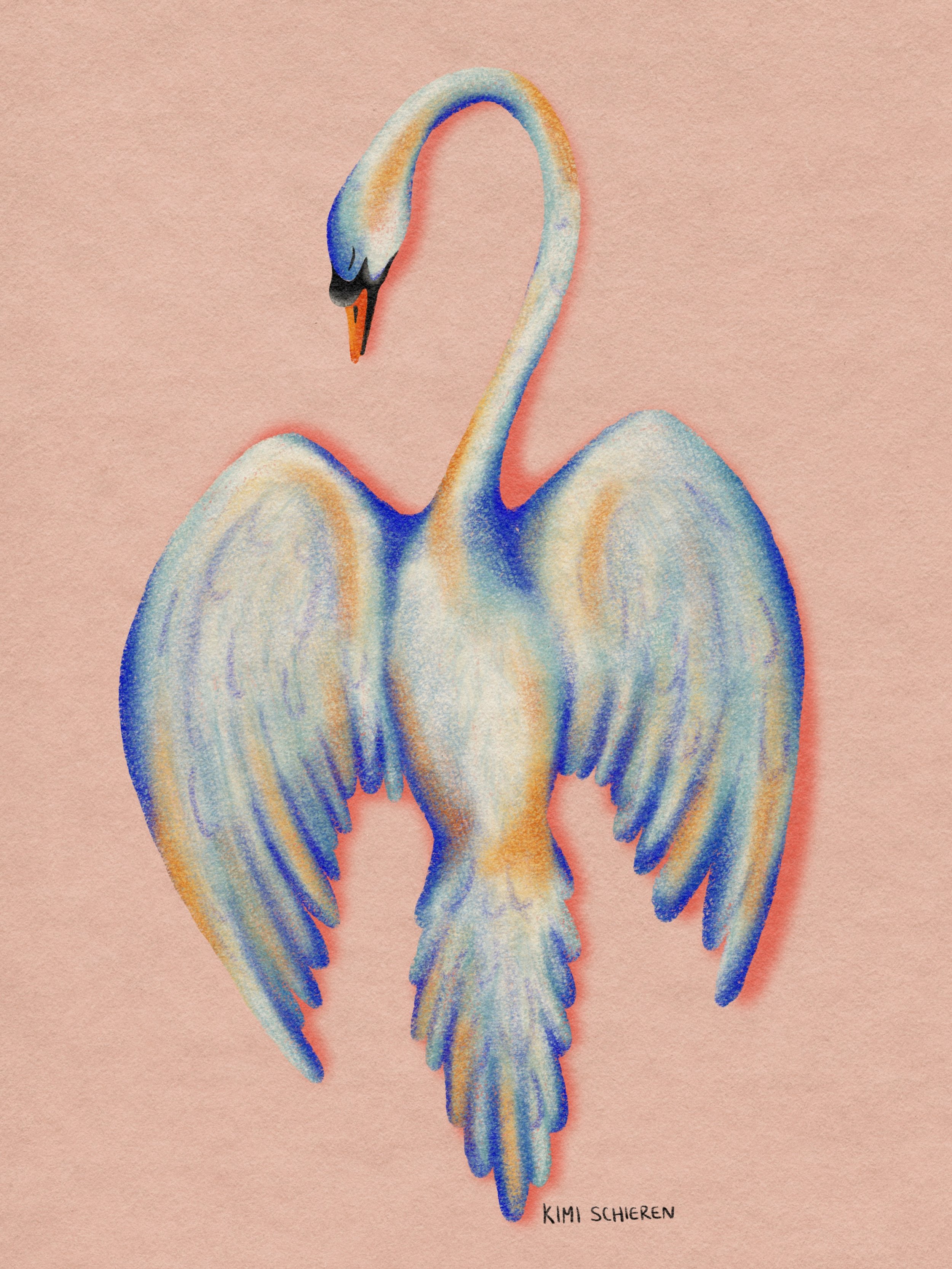 Been thinkin&rsquo; about swans