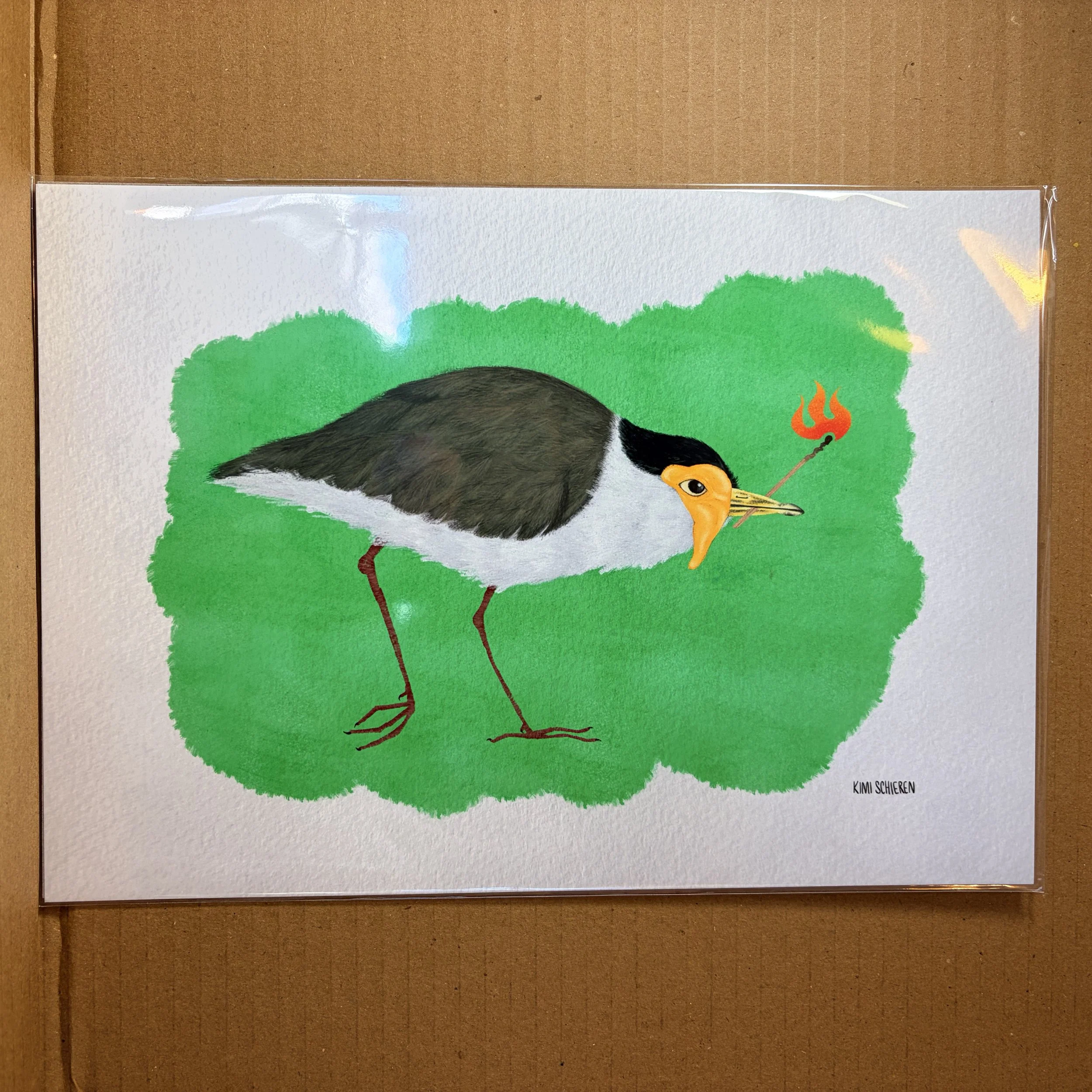 Plover revenge