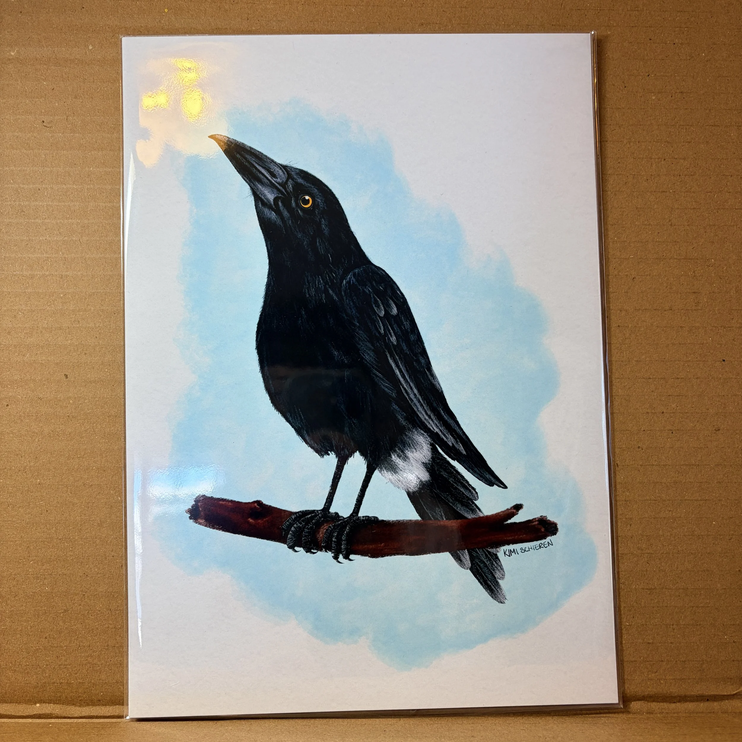 Currawong
