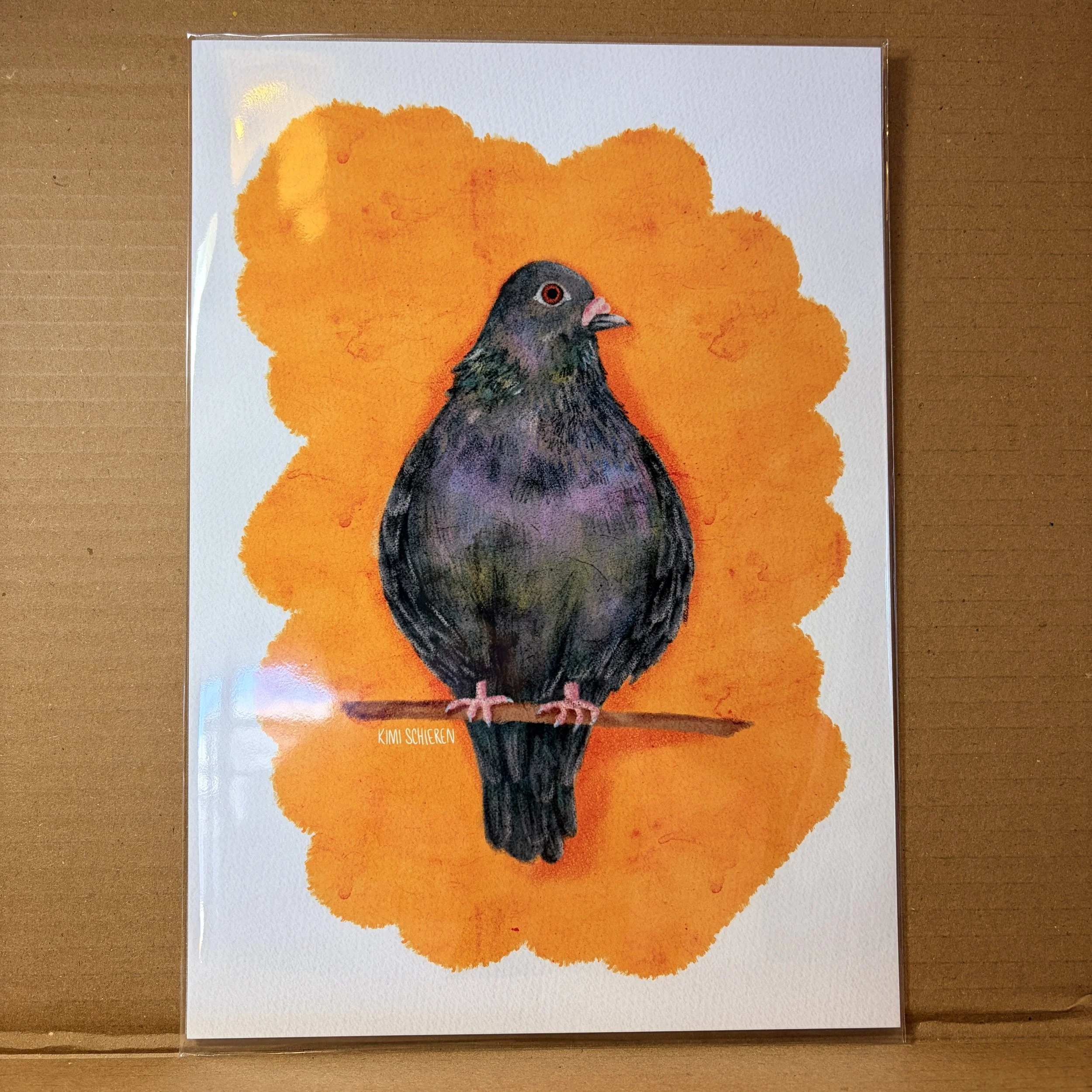 Chunky pigeon