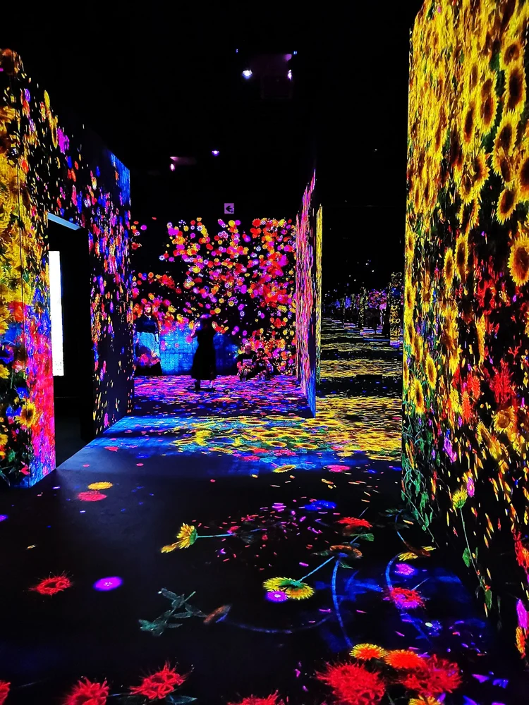The World's First Digital Art Museum - teamLab Borderless in Tokyo ...