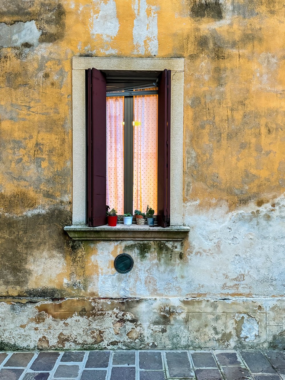  Windowsill with plants and a perfectly aged Venetian wall. These scenes are worth walking around for.  