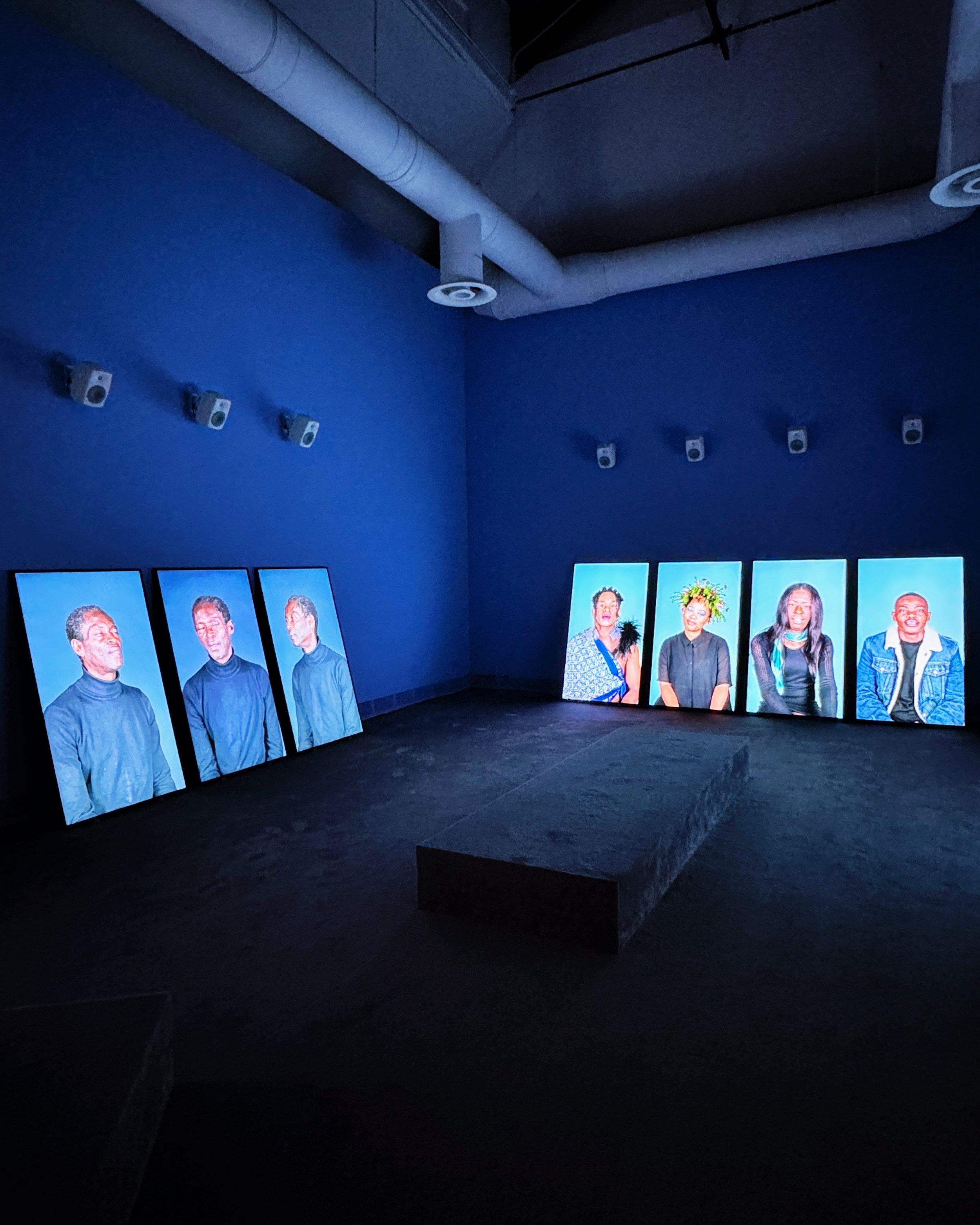   Personal Accounts  by Gabrielle Goliath, a South African Artist at the Venice Biennale. 