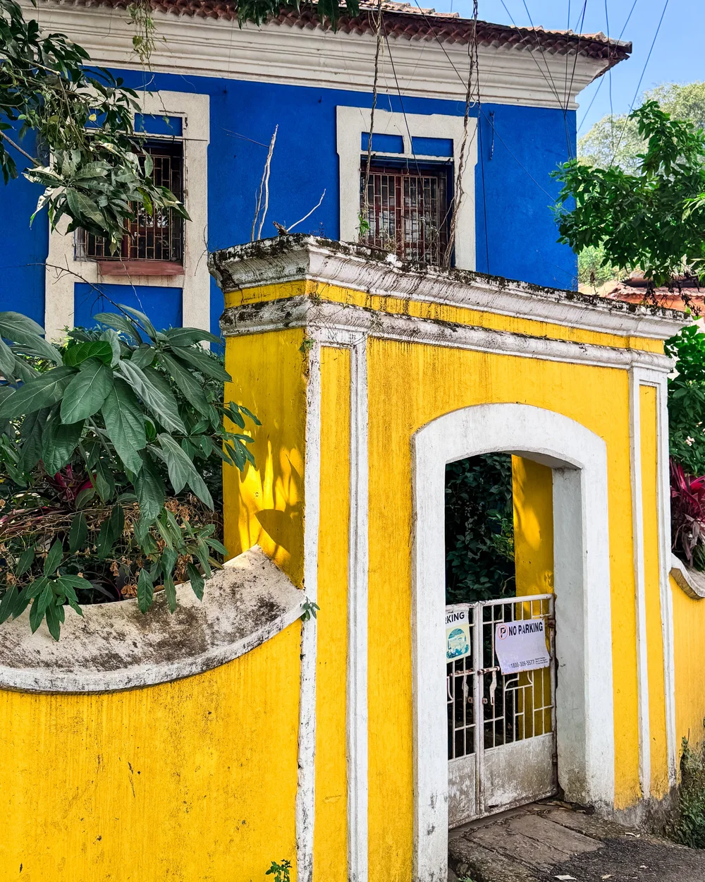  The old Portuguese buildings are picture-perfect! 