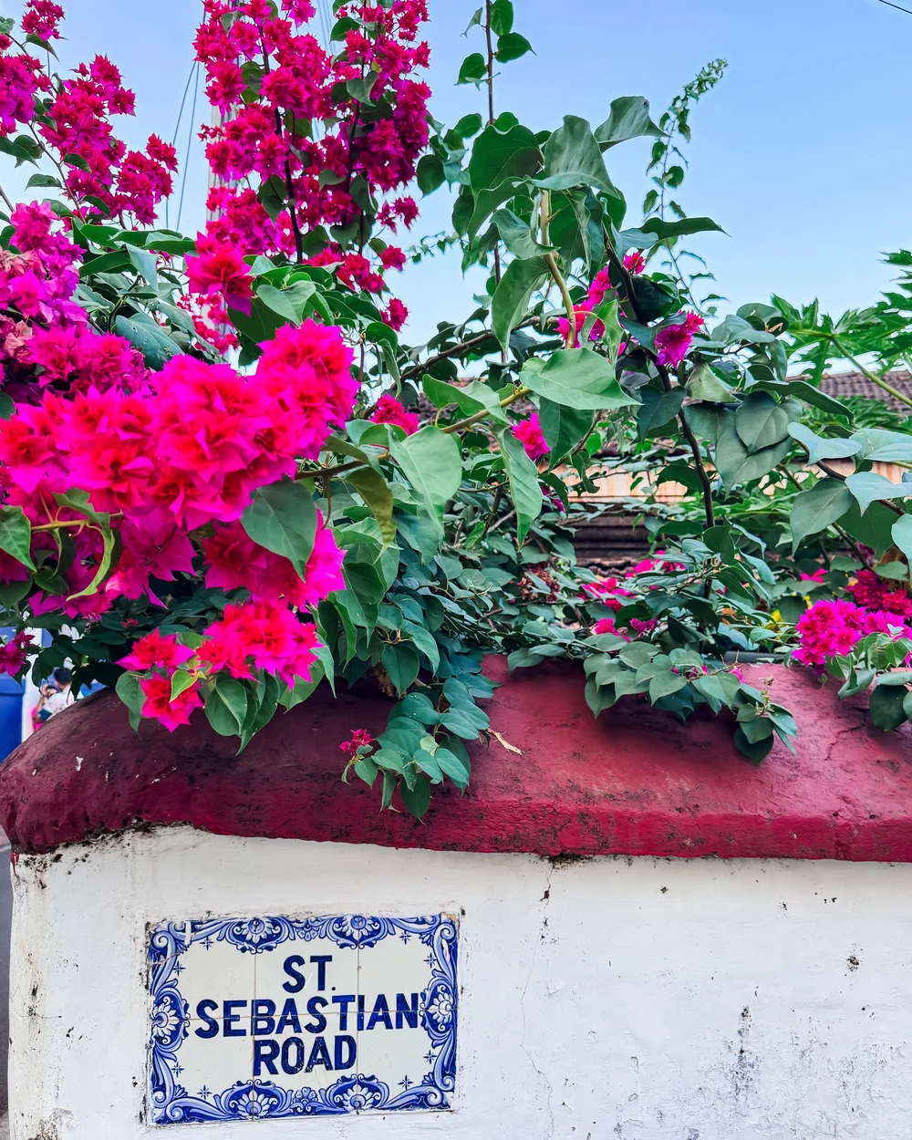  Discover Panjim’s Portuguese roots through its charming old buildings and winding lanes. 