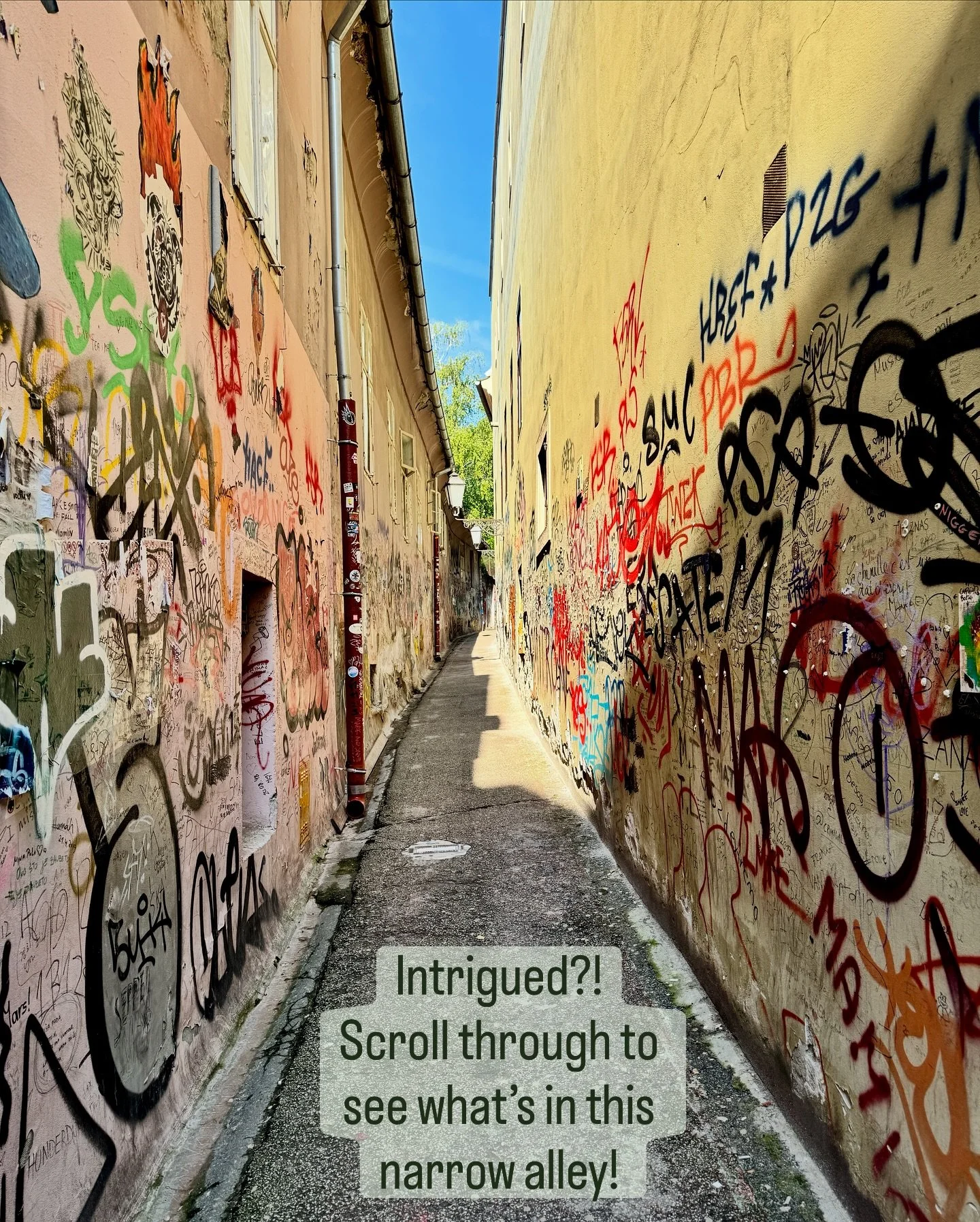 🌈✨ Stumbling upon this narrow-alley-street-art-gallery filled with graffiti, stencils, and paste-ups was the best surprise of the day. 

👁️ Spotting work by @mittenimwald_artist and @lutajuca.knjiga was the cherry on top. 🍒

📍Find the exact locat