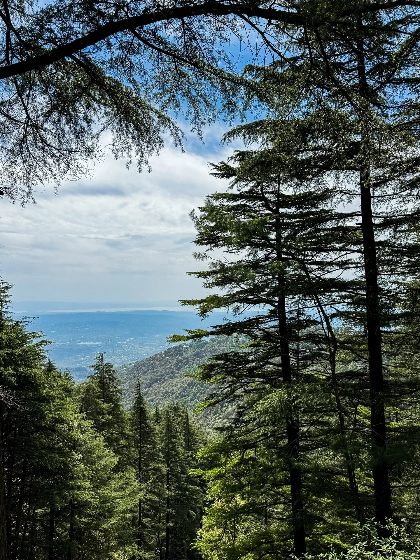 A moment for lush greens, snow-capped mountains, orange sunsets, full moon risings, quaint villages, and Tibetan prayer flags. A week in Dharamsala in the Himalayas is the reset I needed. 

Have you been here? 

[india, Himachal Pradesh, Tibetan Budd