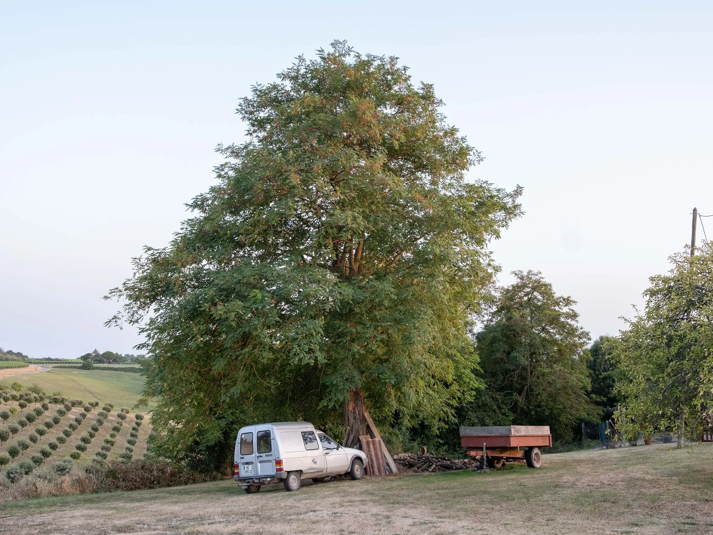 Mortagne Sur Gironde - 2025