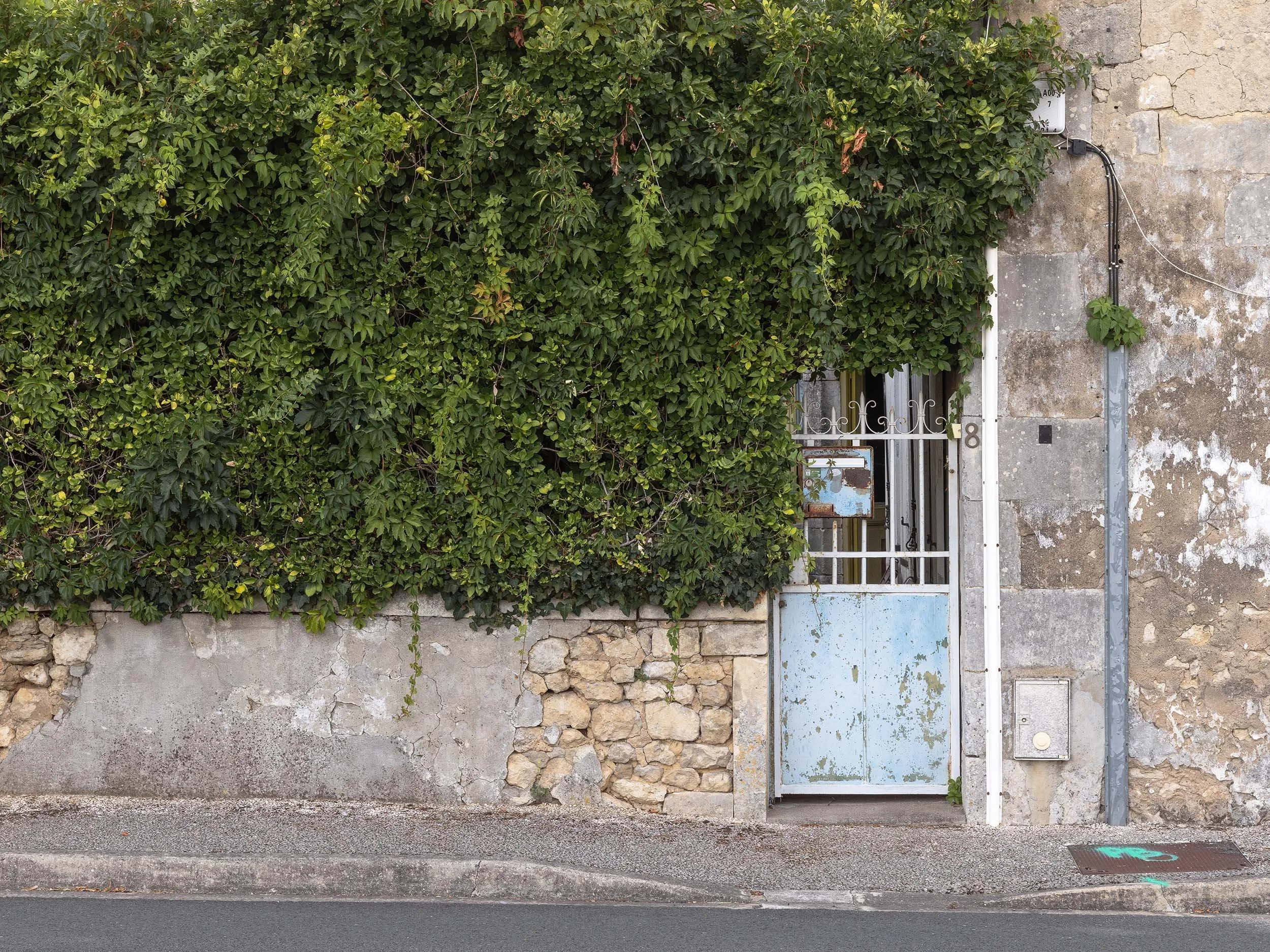 Saint Genis De Saintonge - 2022