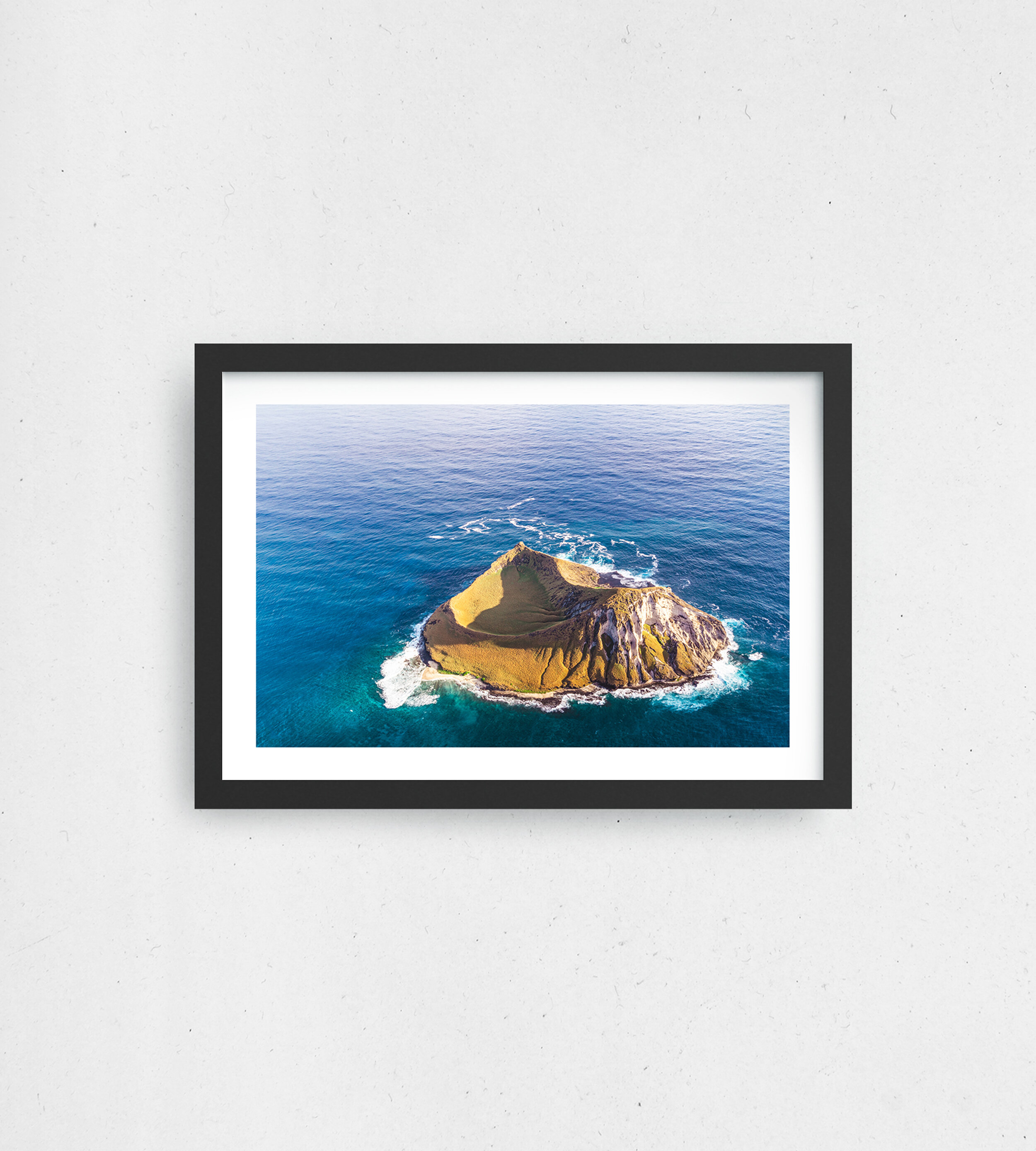 Island Life - Fine Art Print 