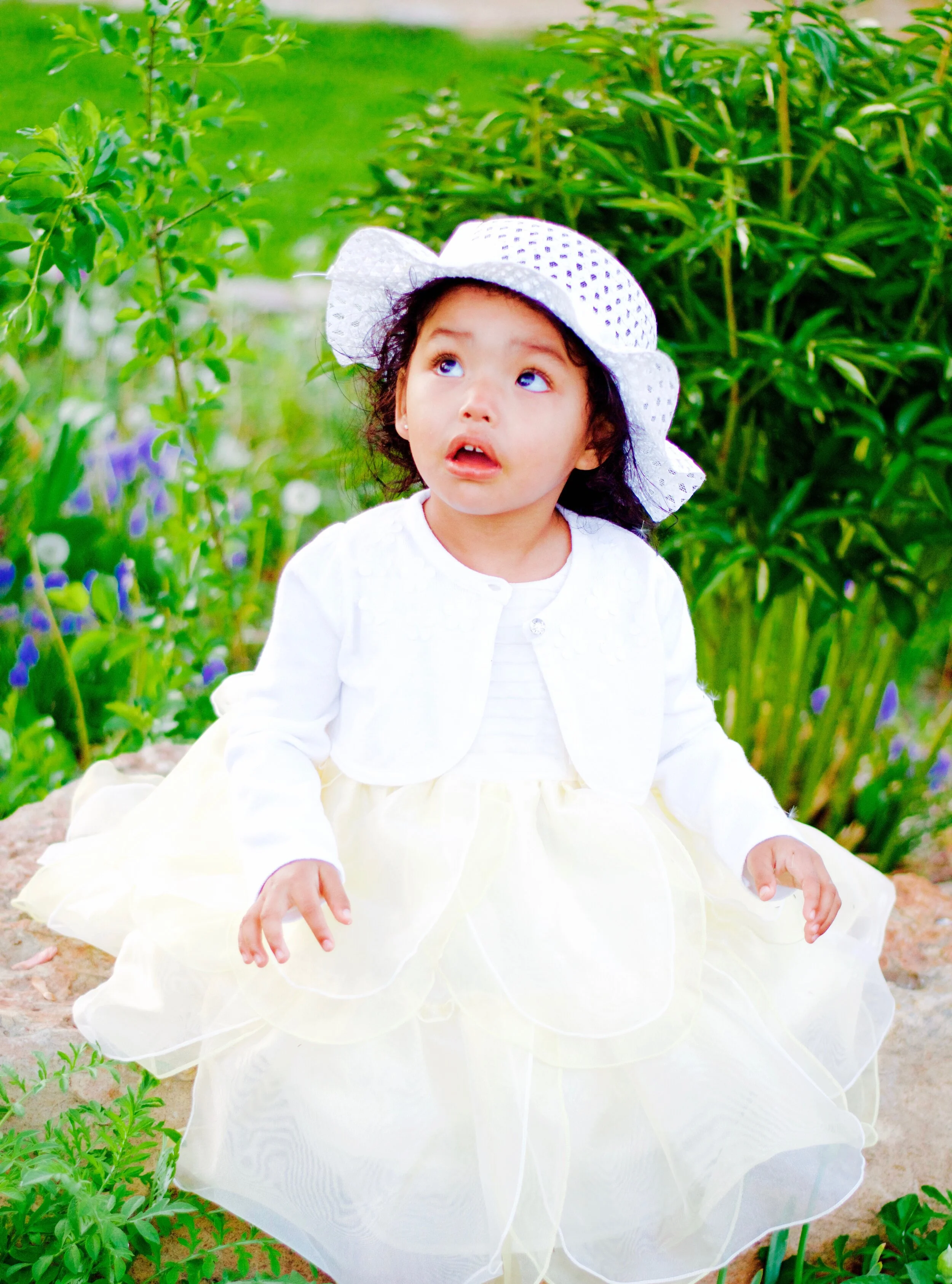 Layla 11.jpg