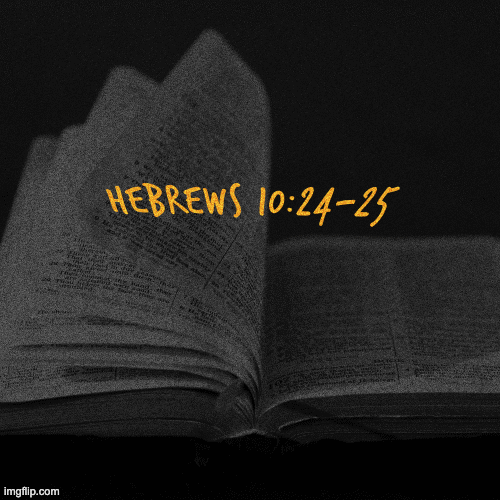 Click the image to stop it