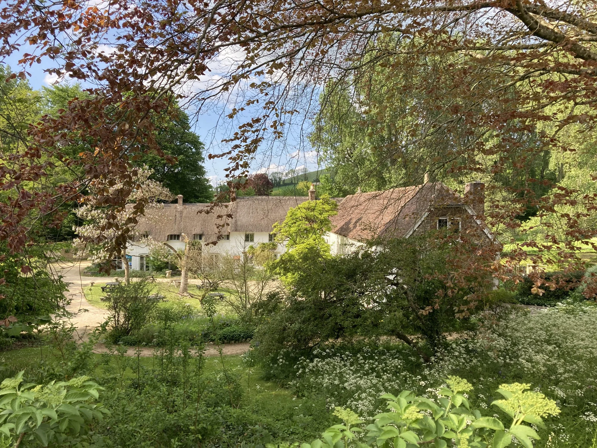 A Retreat Day to Breathe, Move and Reconnect