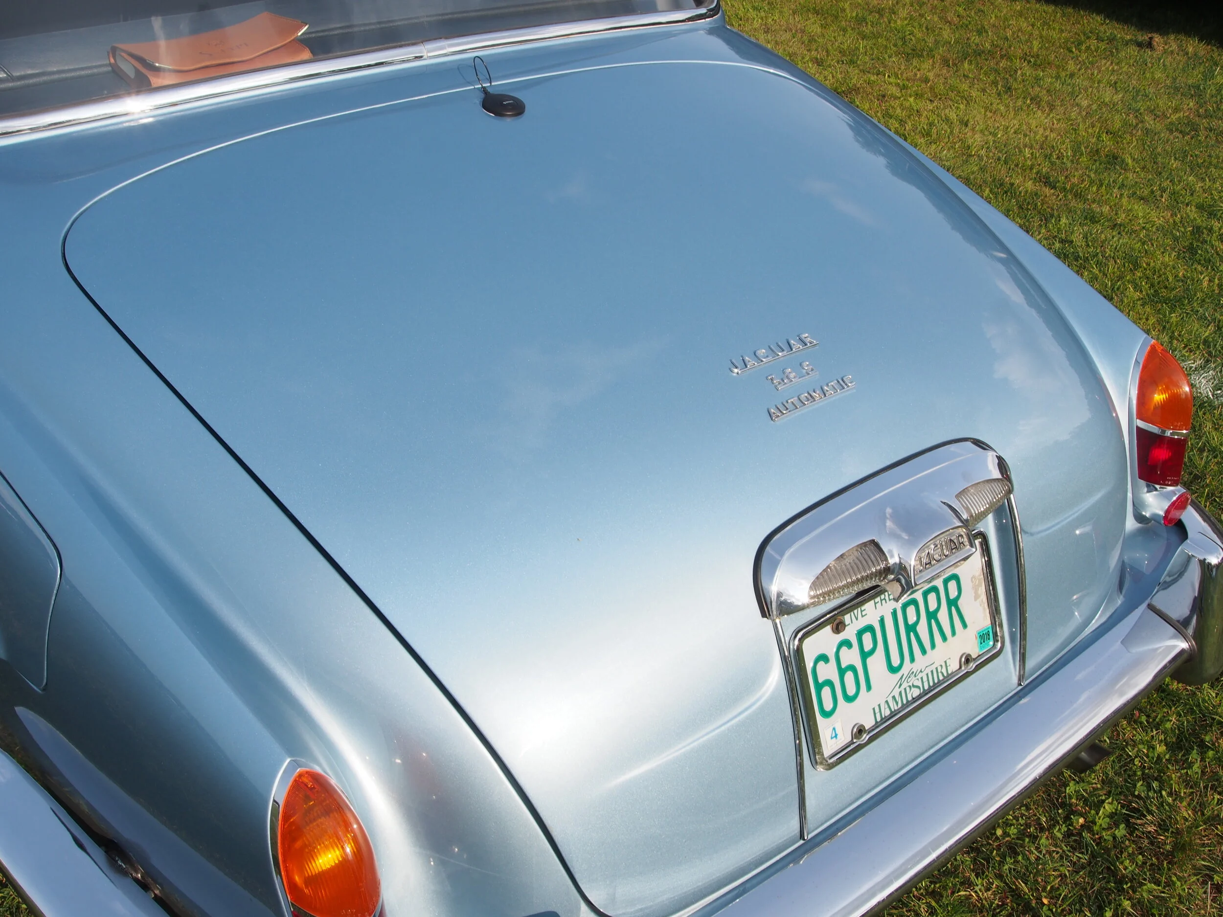 P9152230.JPG