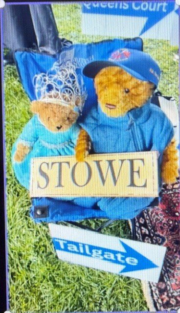 tailgate teddy bears.jpg