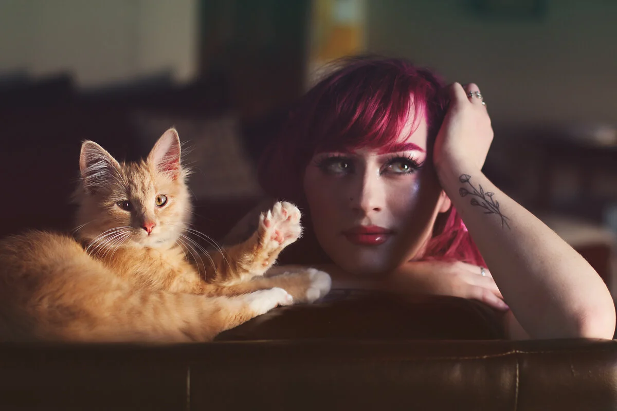 Borrowed Thoughts - Cat Paw