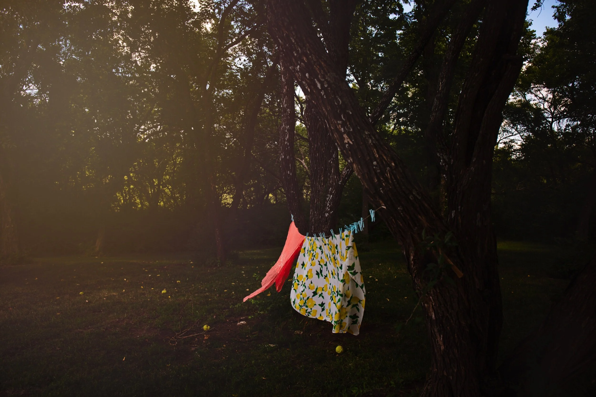 clothesline-31-Edit copy.jpeg