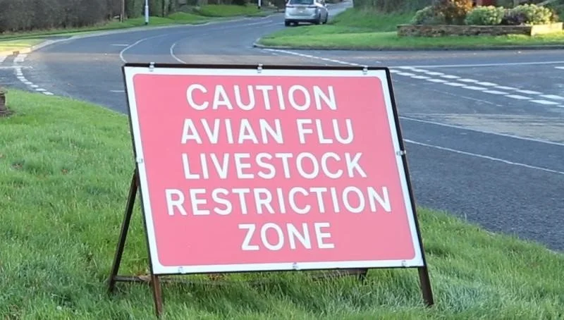 Beware - Avian Flu Outbreak November 2021 