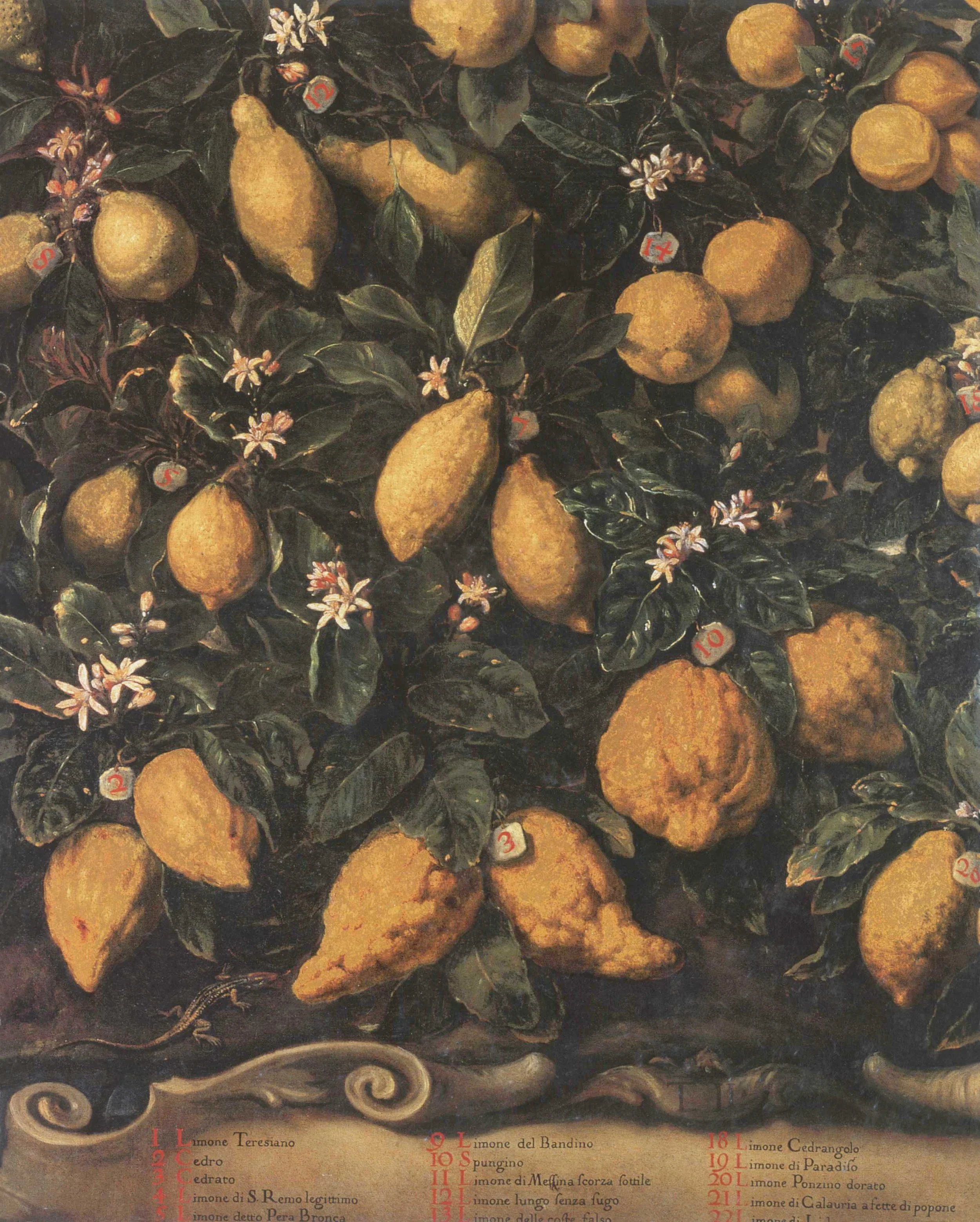 The Limonaia in the Boboli Gardens
