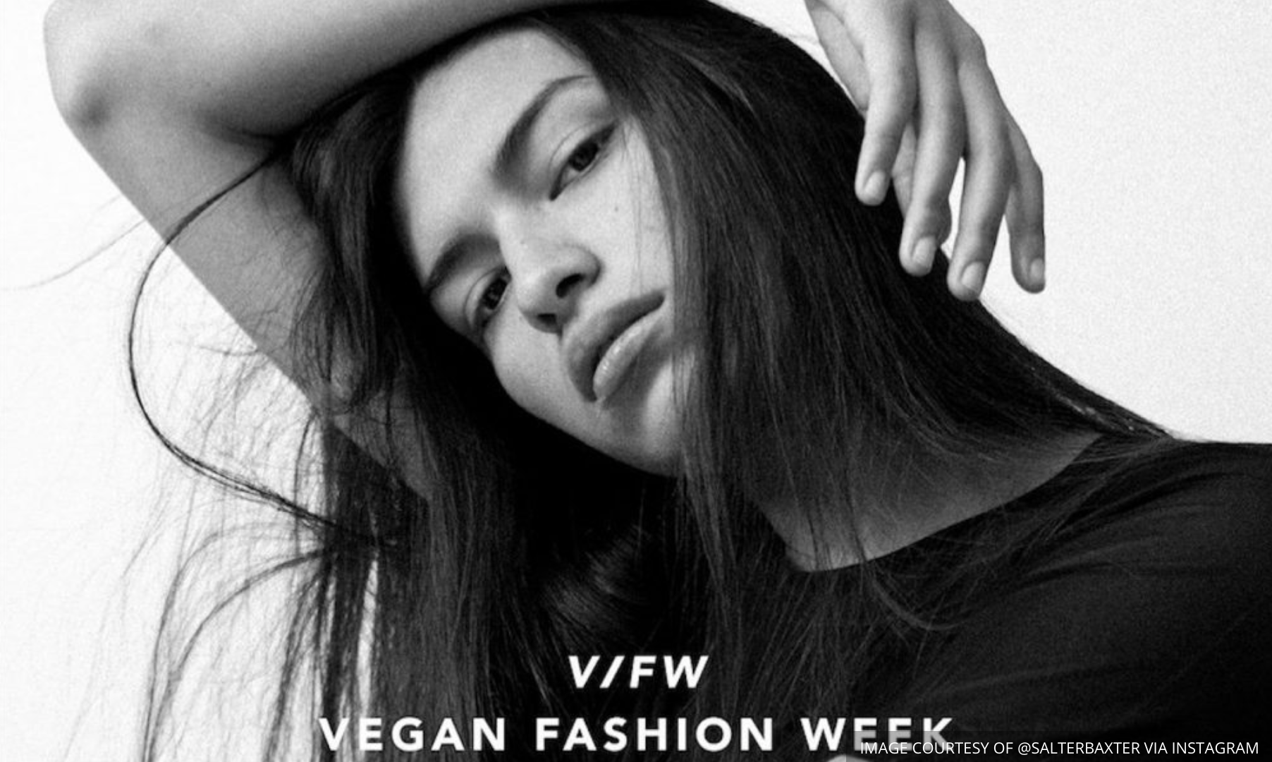 Weekly digest: Vegan Fashion Week's debut and more...