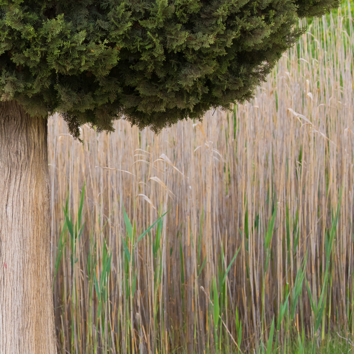 Tuscany-2.jpg