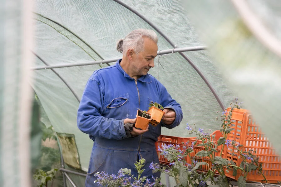 Le jardin : terre de transmission