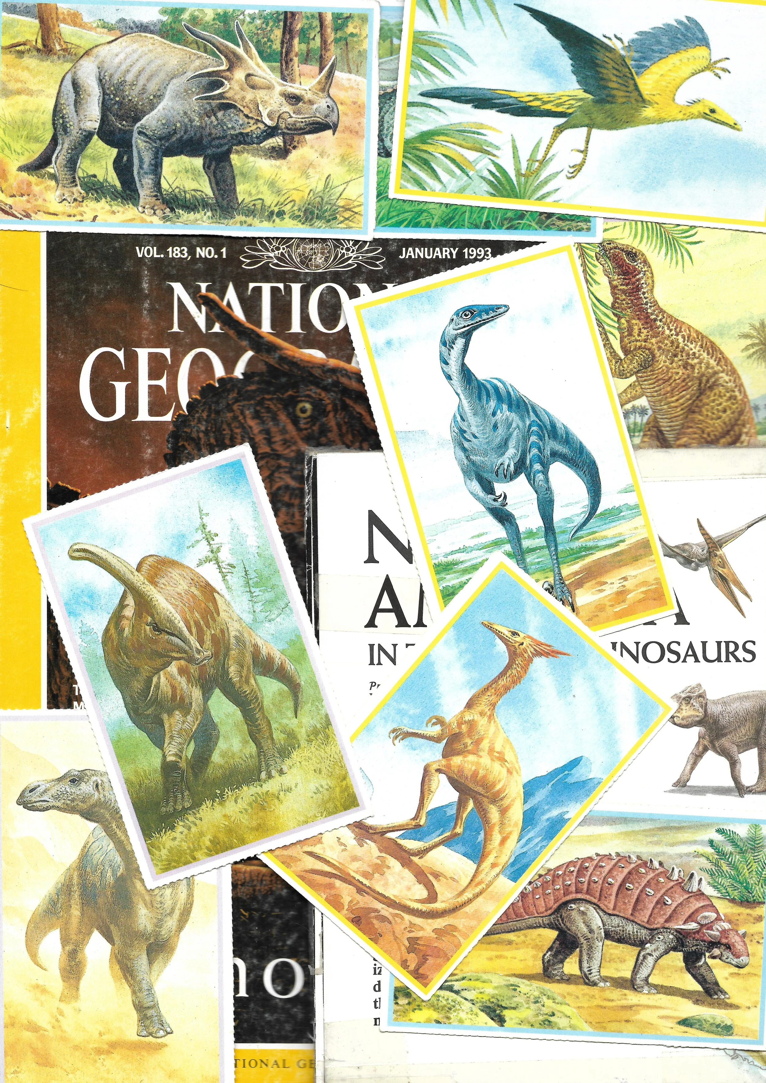 Scan_dino_website_3.jpg