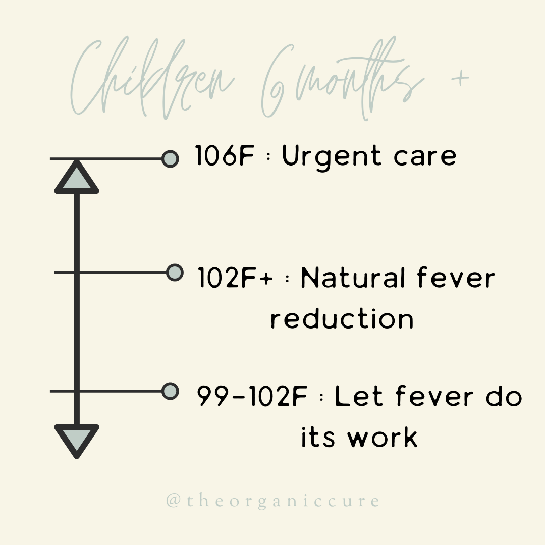 fever guidelines