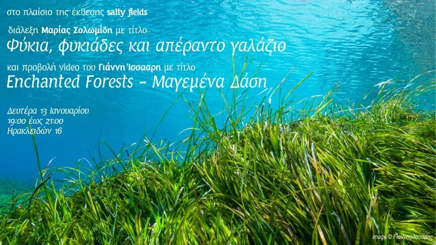 Φύκια, φυκιάδες και απέραντο γαλάζιο