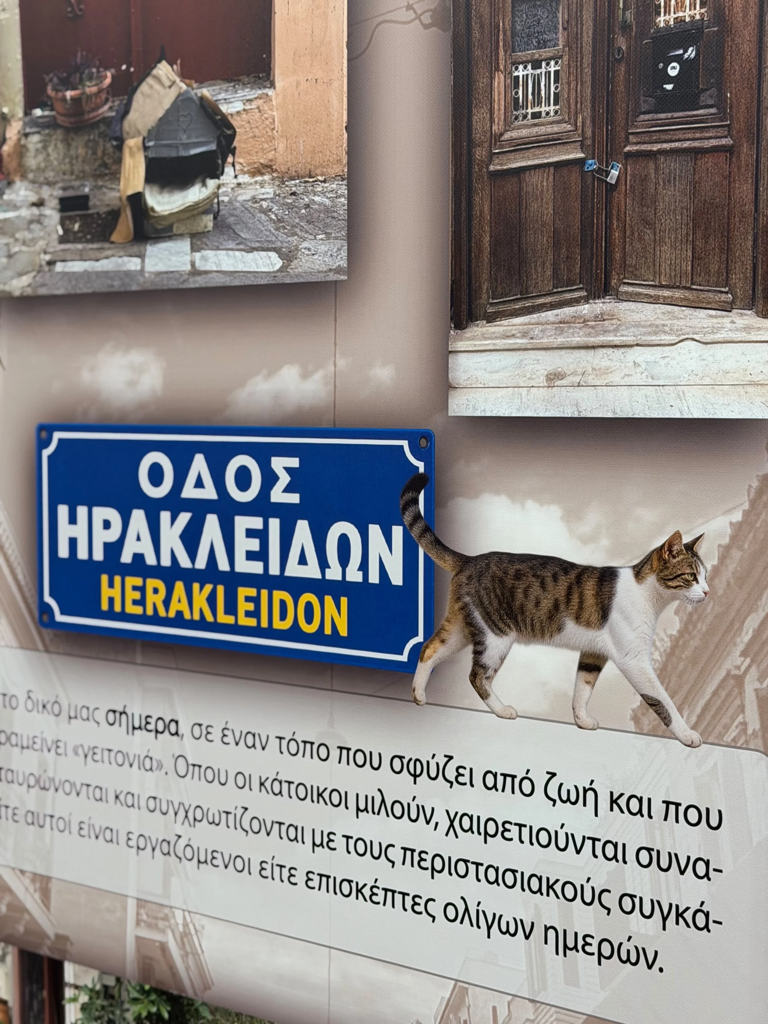 image00005.jpeg